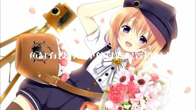 鱼缸有没有简单的过滤配置搭配方式？